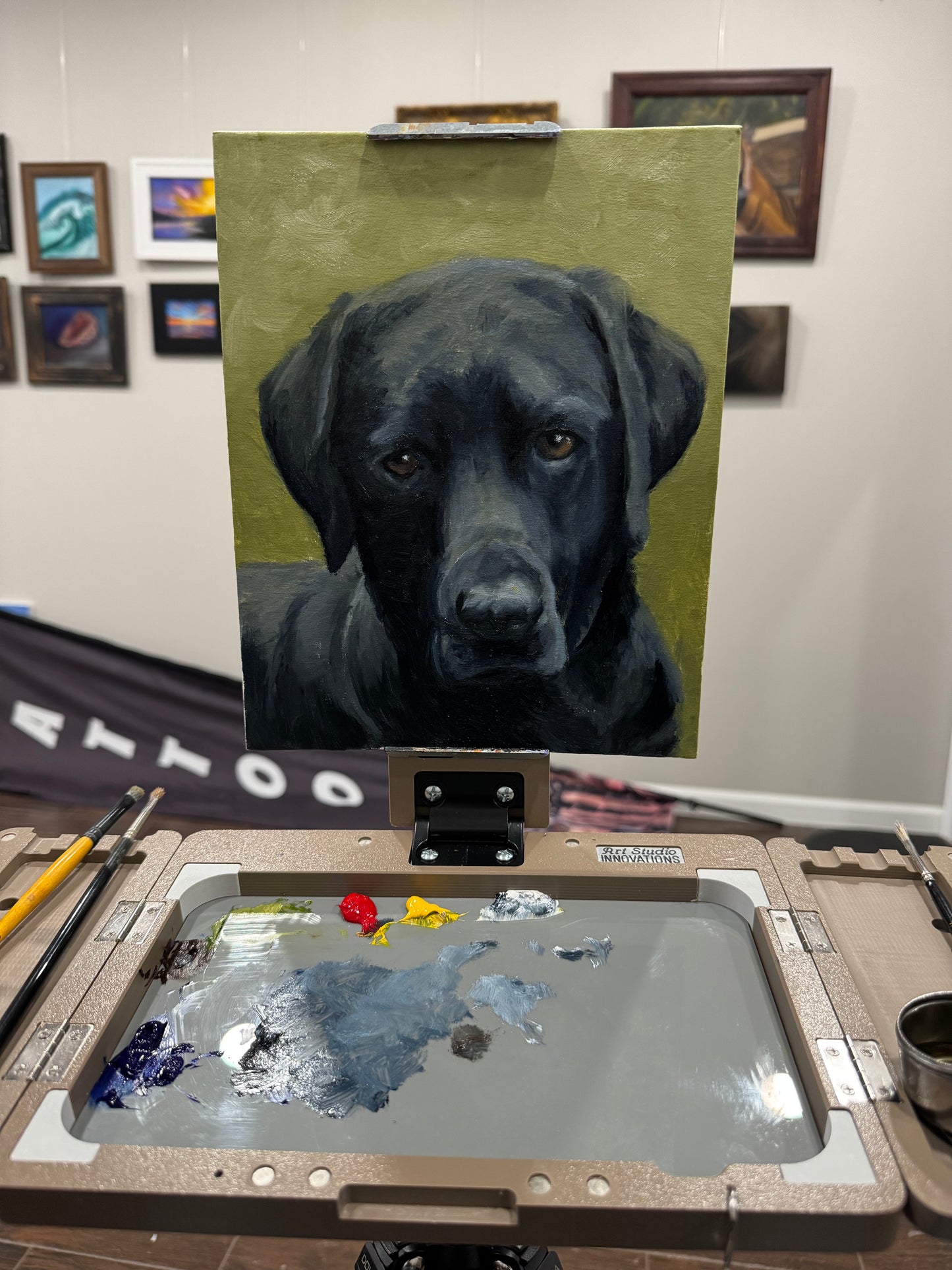 NO Boundaries Pochade 9 X 12